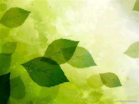 HDR Green Leaves Background – HD Slide Backgrounds
