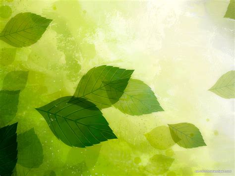 HDR Green Leaves Background – HD Slide Backgrounds