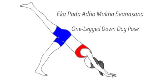 Eka Pada Adho Mukha Svanasana (One-Legged Down Dog) - Sarvyoga | Yoga