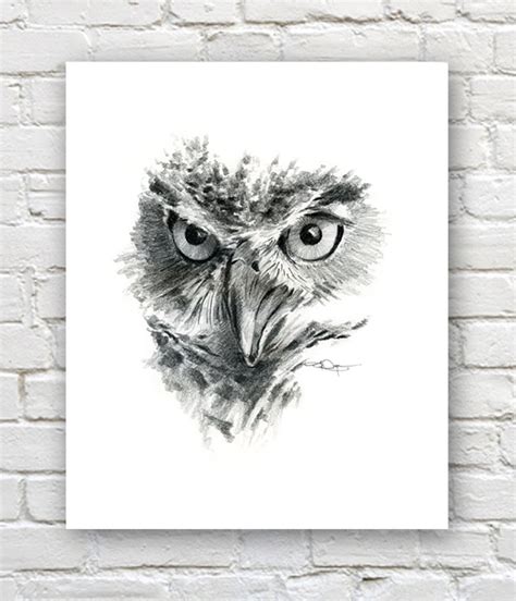 Owl Drawings