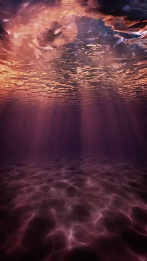 Underwater Sunset on Vimeo