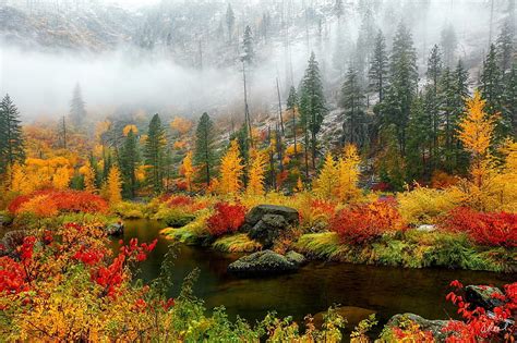 Autumn river, Forest, Snow, Autumn, River, Painting, HD wallpaper | Peakpx