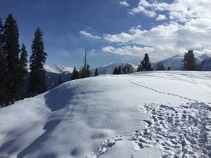 Gulmarg Gondola Ride, Gulmarg - Timings, Accessibility, Best Time to Visit