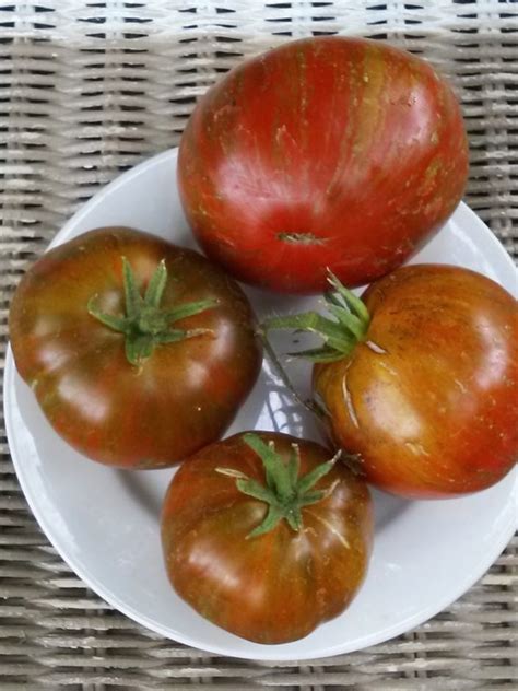 Large Barred Boar Tomato — The Coeur d'Alene Coop