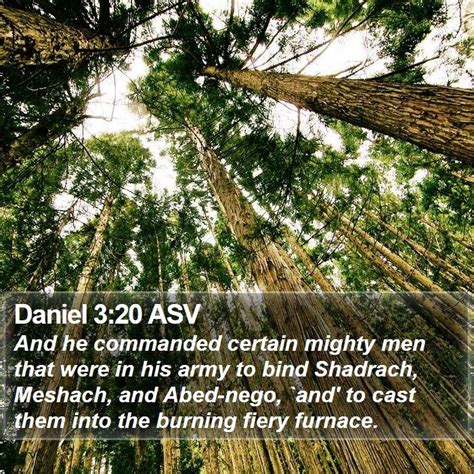 Daniel 3:20 ASV Bible Verse Pictures