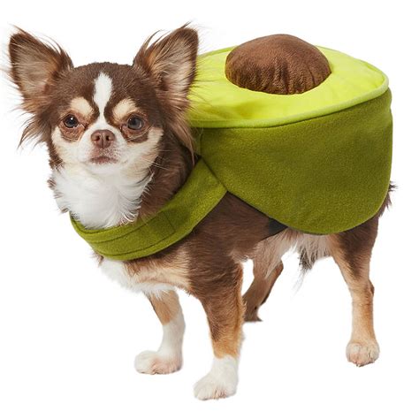 Dog Halloween Costume Ideas Inspired by Your Hobbies