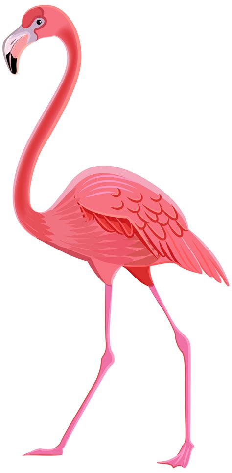 Flamingo clipart cute - googlelopi