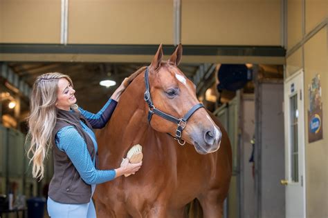 Put Together the Essential Horse Grooming Kit | Stable Talk | Farnam