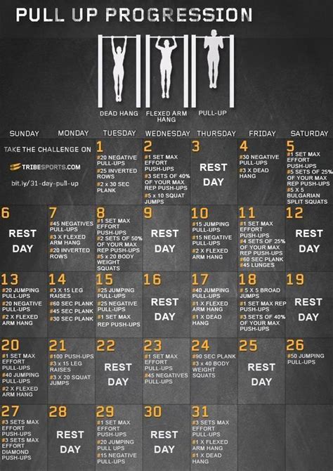 Pin by Sara Duemke Niederhoffer on CrossFit | Pull up challenge, Pull ...