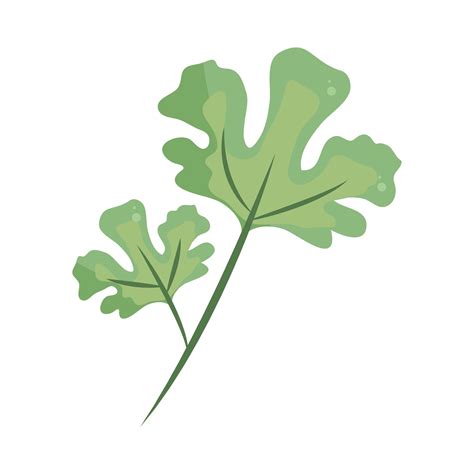 foliage frond greenery 3701463 Vector Art at Vecteezy