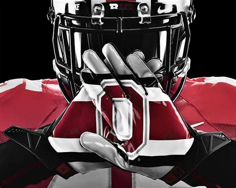 HD wallpaper: ohio state buckeyes football, Sports, competition, helmet ...