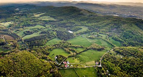 Jefferson Vineyards - Charlottesville Insider