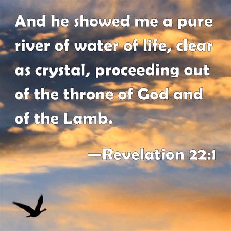 Revelation 22:1 And he showed me a pure river of water of life, clear ...