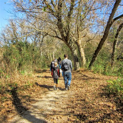 Hiking in Shelby, NC: the First Broad River Trail.