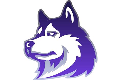 Ashe County Huskies – NC High School Logos