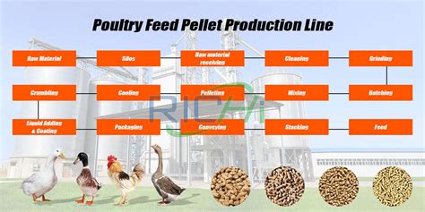 Poultry feed mill project with an annual output of 50,000 tons in China - pellet-richi.com