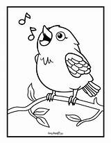 A World Of Color Exploring Coloring Pages Birds sketch template