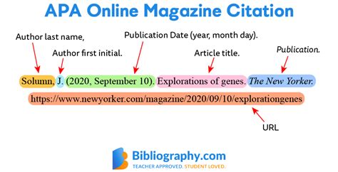 APA Reference Page Examples and Format Guide | Bibliography.com