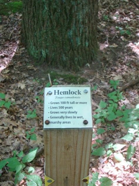 North Woods Nature Preserve | Nature trail signs, Interpretive signage ...