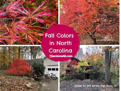 Fall Colors in North Carolina - GardensAll