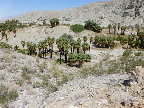 Great Outdoors - PS - HIKE: BISKRA PALM OASIS