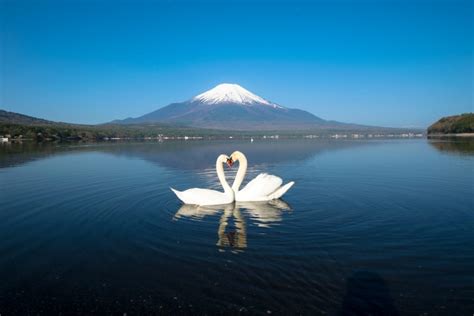 Lake Yamanaka, Yamanakako, Japan - Heroes Of Adventure