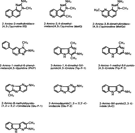 Figure 1 from Quantification of heterocyclic amines in cooked foods | Semantic Scholar