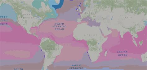 This Highly-Detailed 3D Ocean Map Will Help Save Marine Life