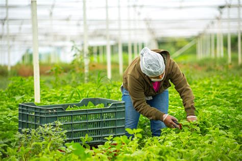 Firman convenio para incrementar productividad agrícola - Prensa Animal