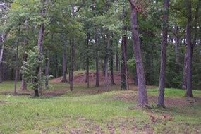 Shiloh Indian Mounds History - Shiloh National Military Park (U.S. National Park Service)