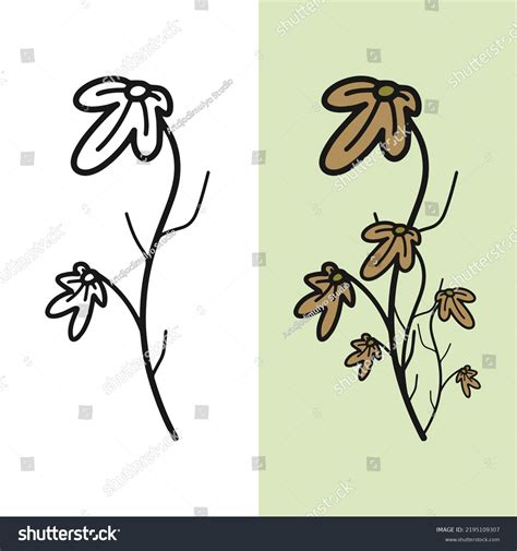 Hand Drawn Withered Flower Vector Illustration Stock Vector (Royalty Free) 2195109307 | Shutterstock