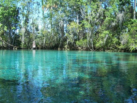 Three Sisters Springs – Crystal River, Florida