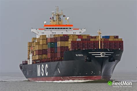 MSC container ship troubled in Shenzhen by positive tests and blackout