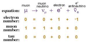 Antineutrinos | All Things Neutrino