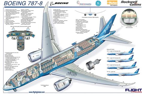 All sizes | Boeing 787-8 Micro Cutaway Poster | Flickr - Photo Sharing! | Boeing aircraft ...