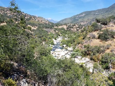 Park Visitor Loses Life in Kaweah River in Sequoia National Park - DesertUSA Stories & News