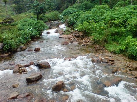 Birla / Birala Waterfalls, Valparai - Timings, Swimming, Entry Fee, Best Season to Visit