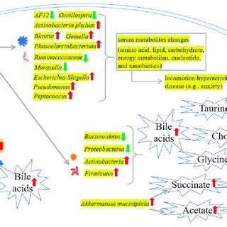 PBDEs-induced toxicity is associated with intestinal microbiome... | Download Scientific Diagram