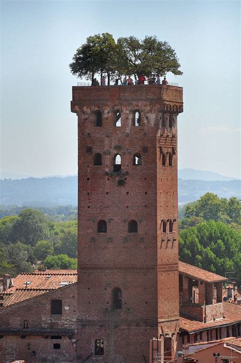 Guinigi tower, Lucca | Beautiful places, Amazing buildings, Places to go