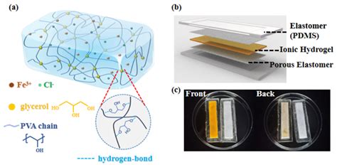 Gels | Free Full-Text | Mechanically Interlocked Hydrogel–Elastomer Strain Sensor with Robust ...