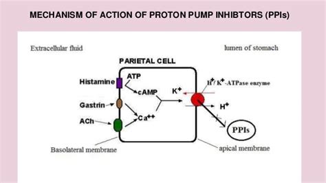 Proton pump inhibitors