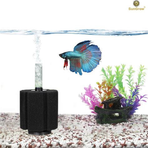 Best Betta Sponge Water Filter - Home Appliances