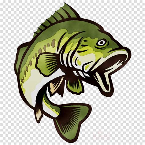 Free Bass Fish Cliparts, Download Free Bass Fish Cliparts png images, Free ClipArts on Clipart ...