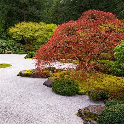 Japanese Rock Gardens