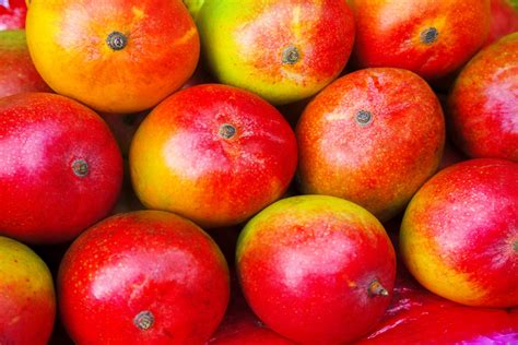 U.S. set to open for South African mangoes - FreshFruitPortal.com