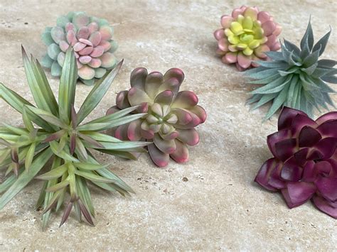 Artificial Succulents - Etsy