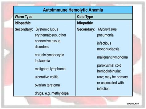 PPT - Hemolytic Anemias PowerPoint Presentation, free download - ID:4632555