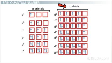 Spin Quantum Number | Overview & Examples - Lesson | Study.com