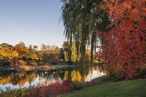 Fall Colors Are on Full Display at Chicago Botanic Garden | Chicago News | WTTW