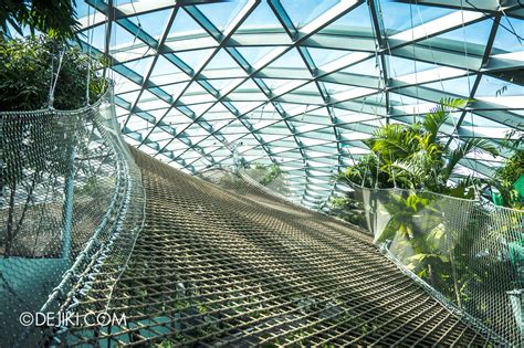 Canopy Park attractions at Jewel Changi Airport | Dejiki.com